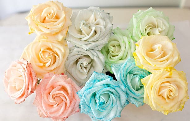 how to make rainbow carnations