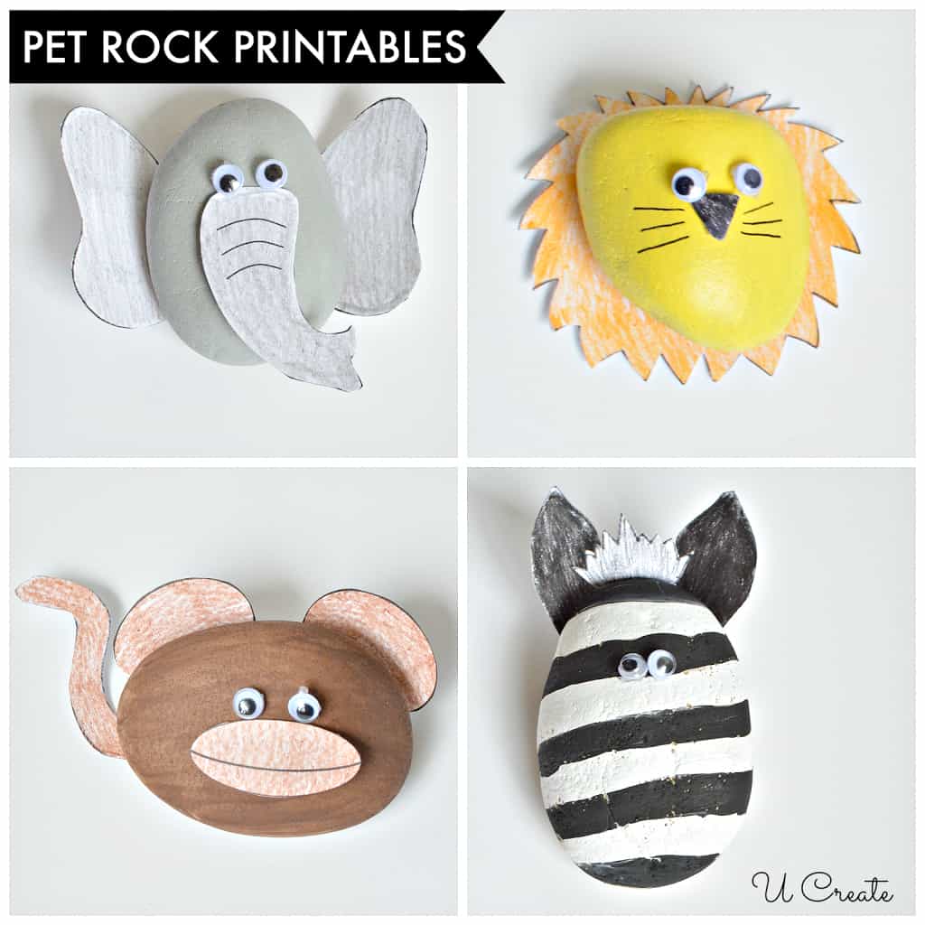Pet Rock Craft for Kids - The Activity Mom