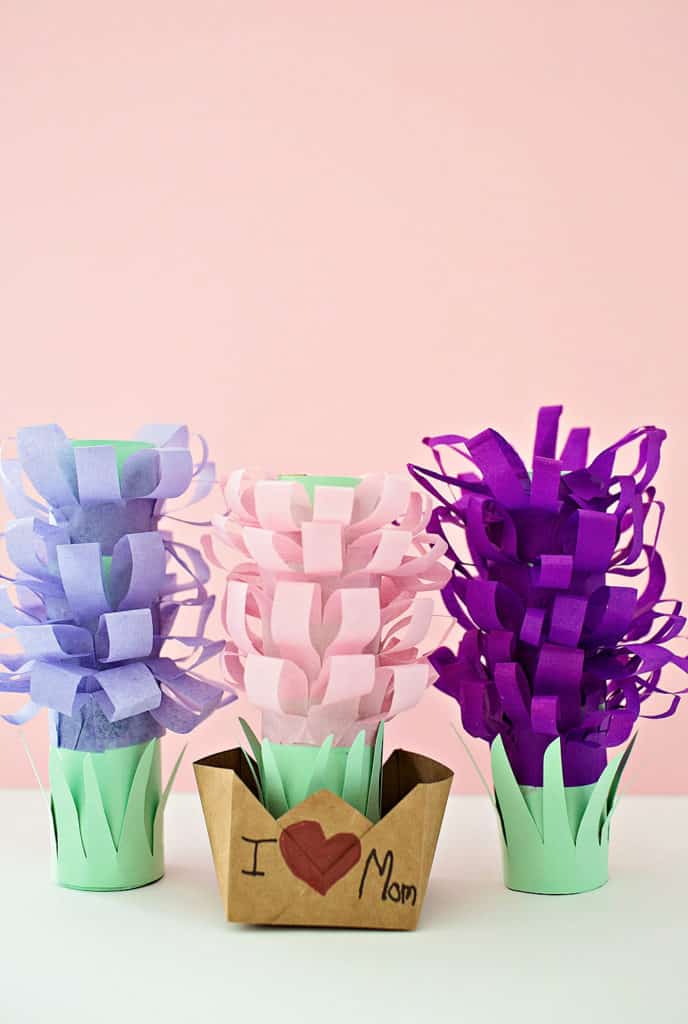 PAPER TISSUE HYACINTH FLOWER POTS - hello, Wonderful