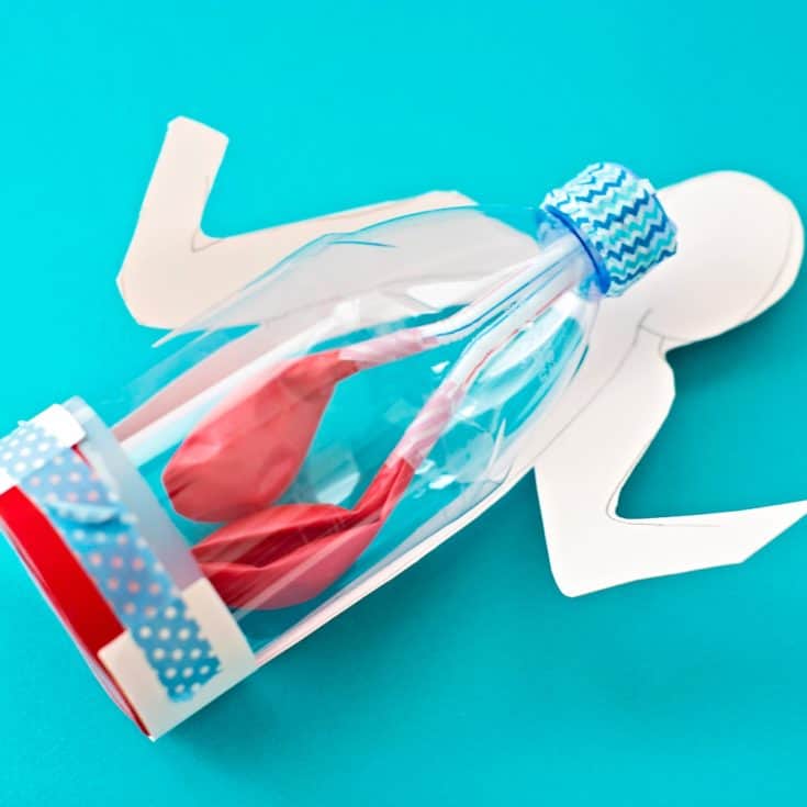 LUNG ANATOMY IN A BOTTLE ACTIVITY FOR KIDS - hello, Wonderful