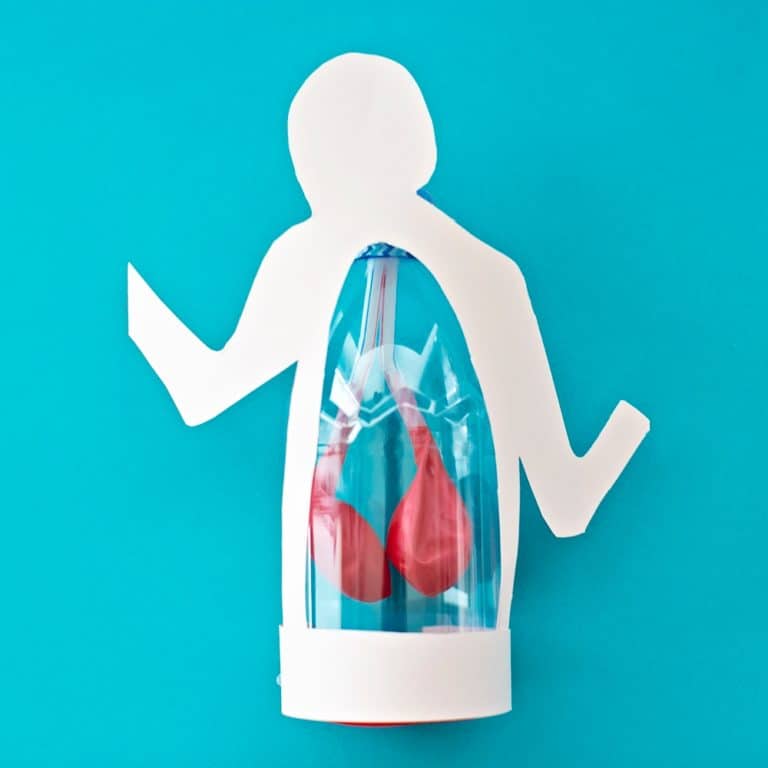 LUNG ANATOMY IN A BOTTLE ACTIVITY FOR KIDS - hello, Wonderful