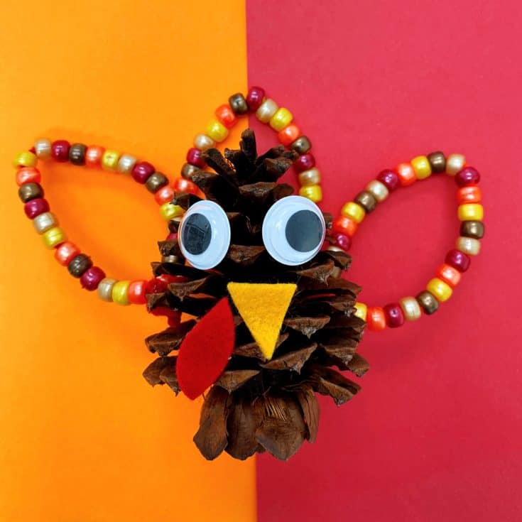 FINE MOTOR PINE CONE TURKEY CRAFT - hello, Wonderful