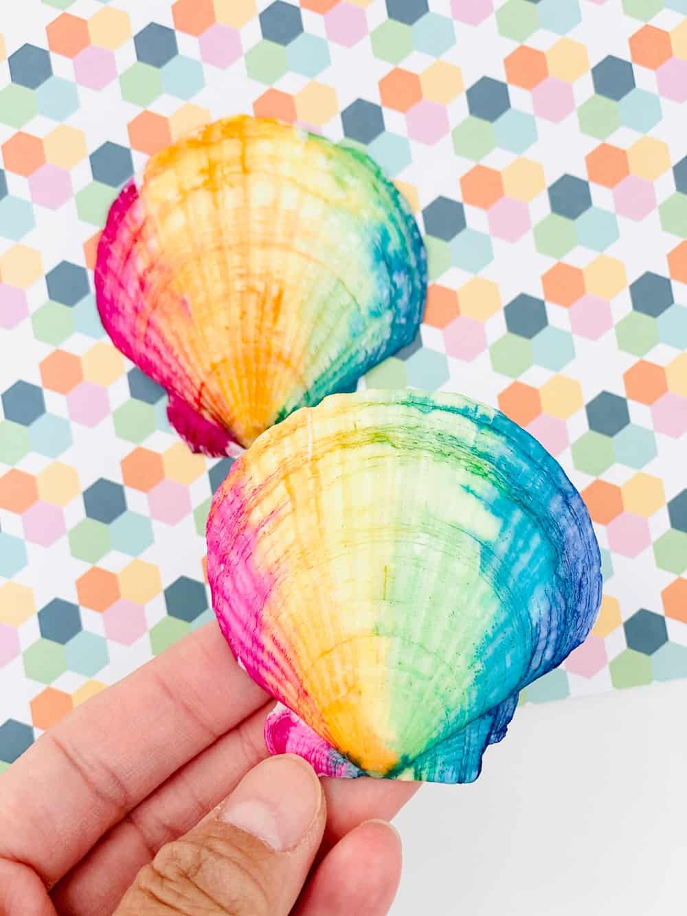 rainbow-watercolor-painted-seashells-hello-wonderful