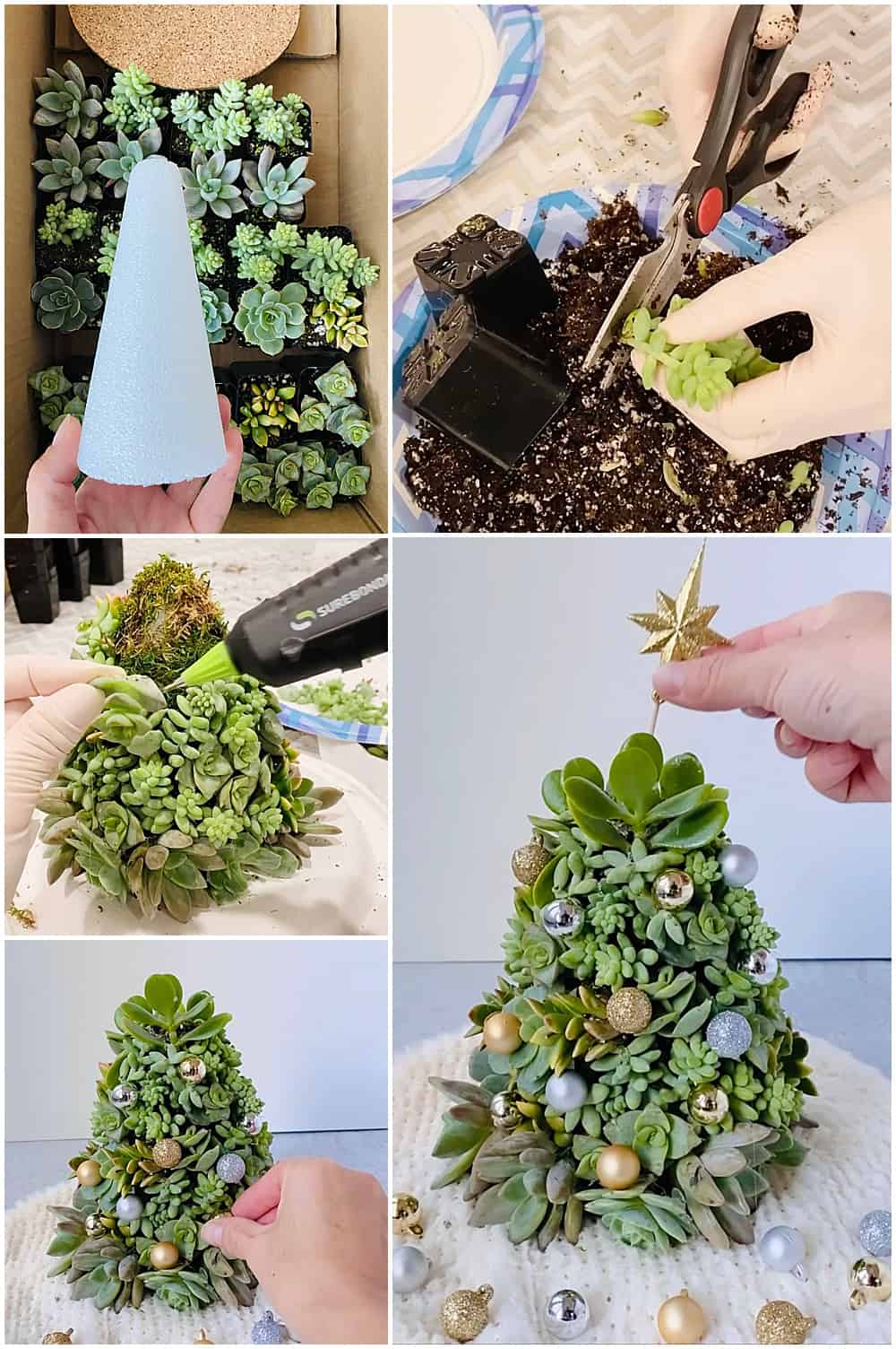 DIY Succulent Christmas Tree Easy succlent tree you can make!