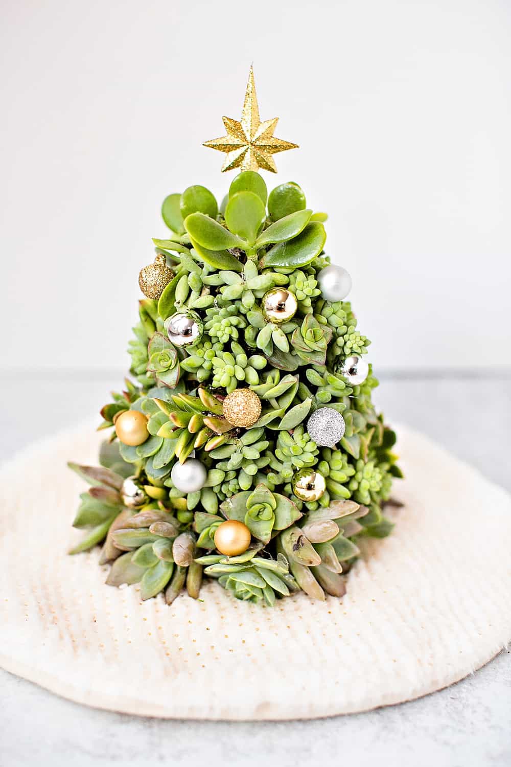 DIY Succulent Christmas Tree Easy succlent tree you can make!