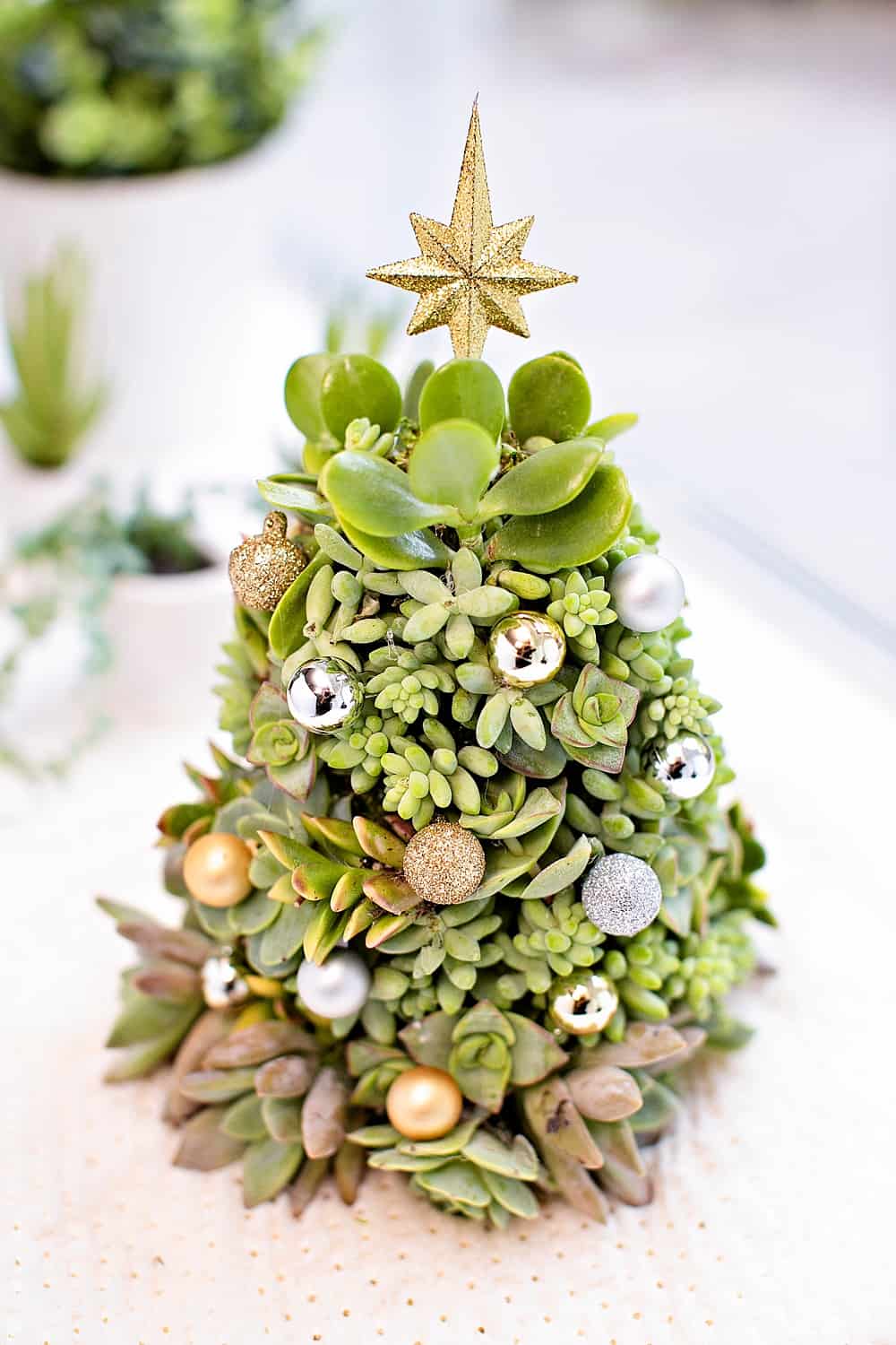 DIY Succulent Christmas Tree Easy succlent tree you can make!