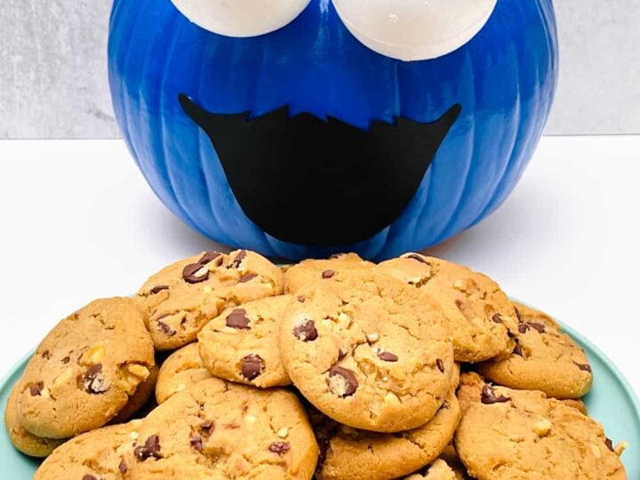 Cookie Monster pumpkin decorating contest winner 1st place