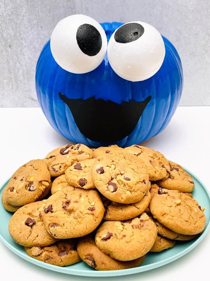 THIS DIY COOKIE MONSTER PUMPKIN IS THE CUTEST NO CARVE PUMPKIN Pingovox   Cookie Monster Pumpkin12 720x960 