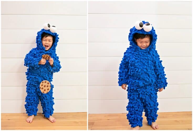 Cookie Monster Diy Decorations Bedroom