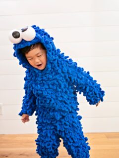 DIY Cookie Monster Costume - Cookie Monster Halloween Costume