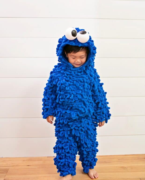 DIY Cookie Monster Costume - Cookie Monster Halloween Costume