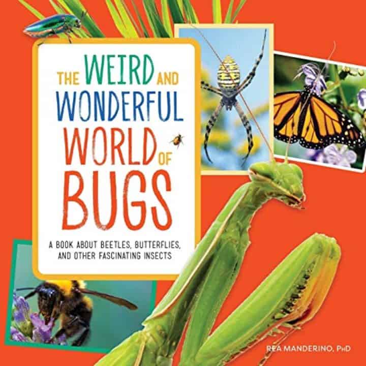 12 Exciting Bug Books For Kids