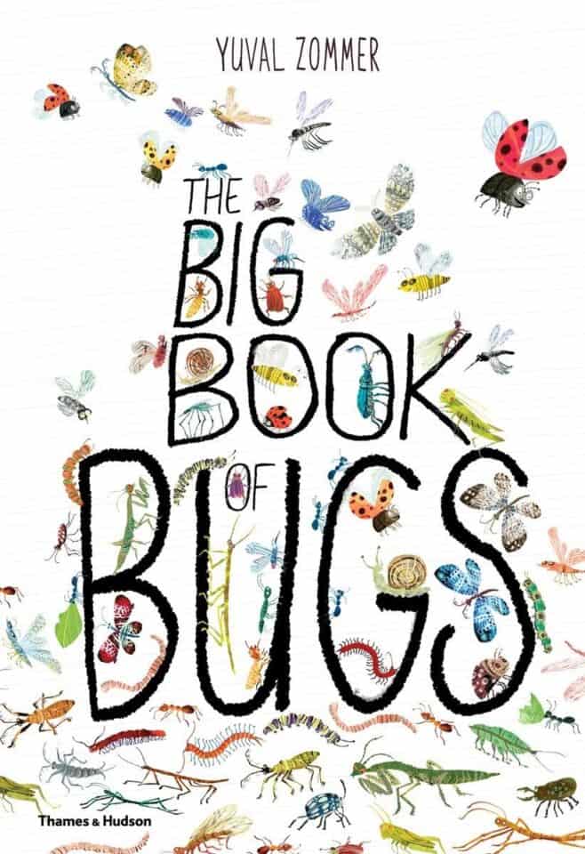 12-exciting-bug-books-for-kids