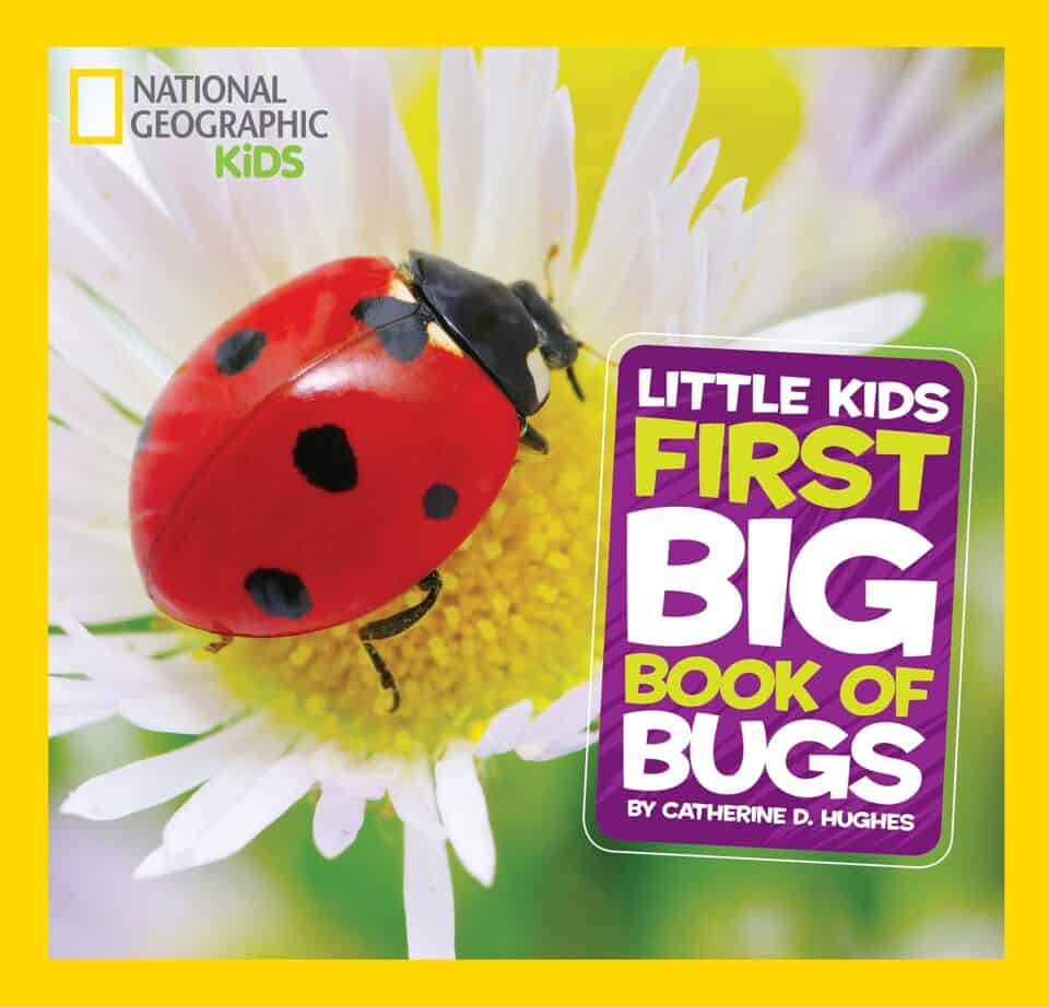 12 Exciting Bug Books For Kids