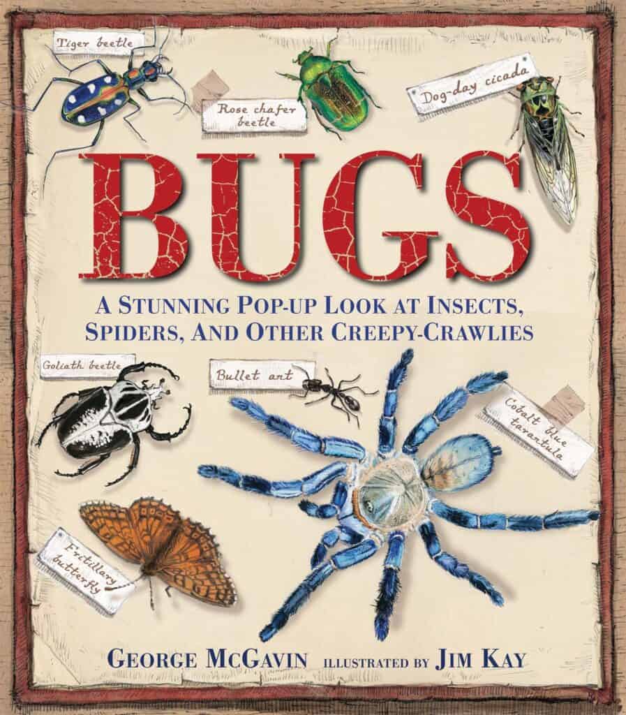 12 Exciting Bug Books For Kids