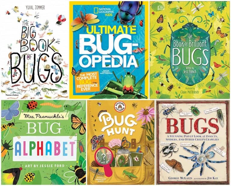 12-exciting-bug-books-for-kids