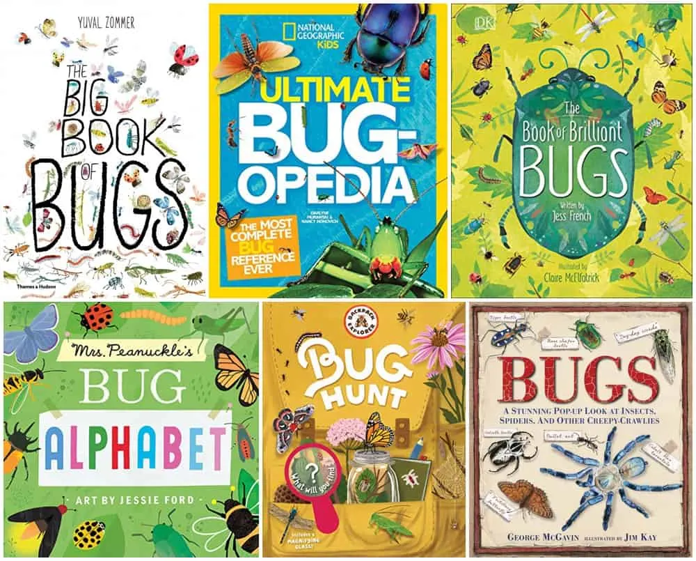 https://www.hellowonderful.co/wp-content/uploads/2022/05/bug-books-for-kids2.jpg.webp