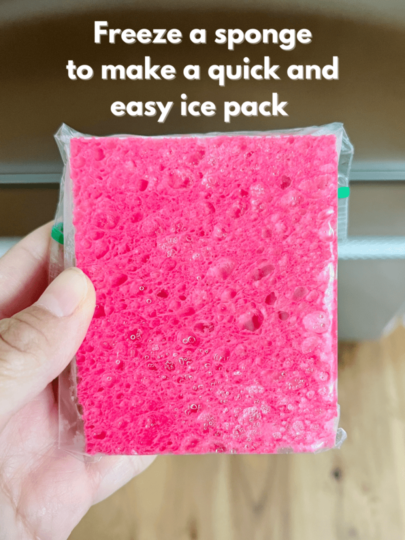 Clever Sponge Ice Pack Hack: No Ice Pack? No Problem!