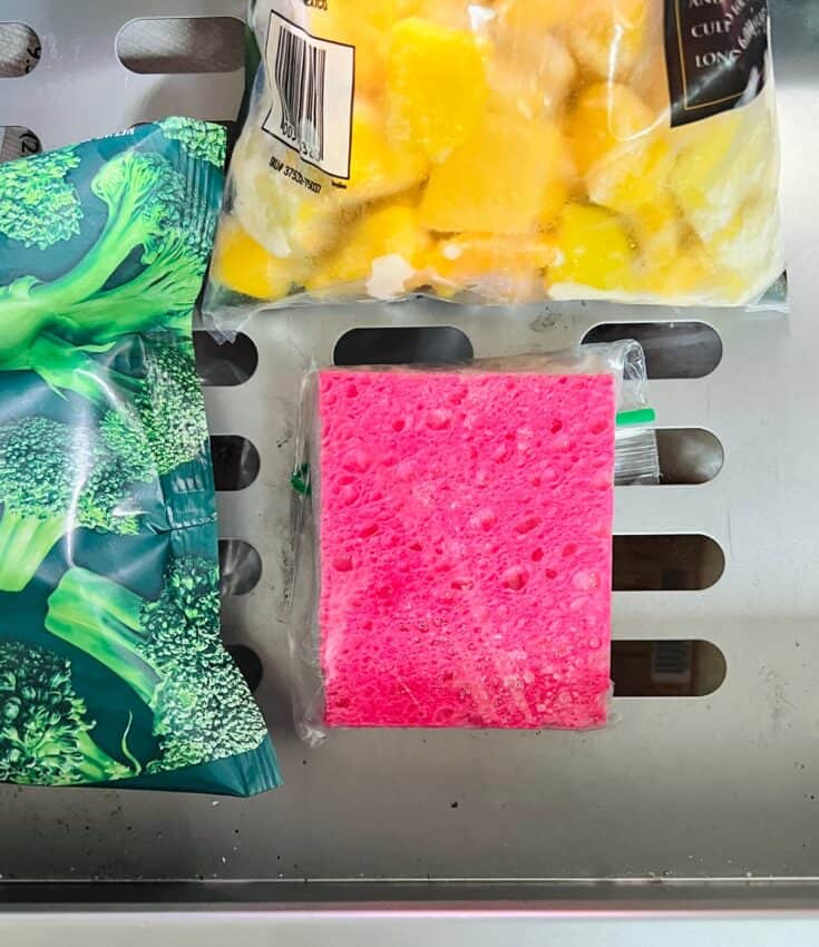 Clever Sponge Ice Pack Hack: No Ice Pack? No Problem!