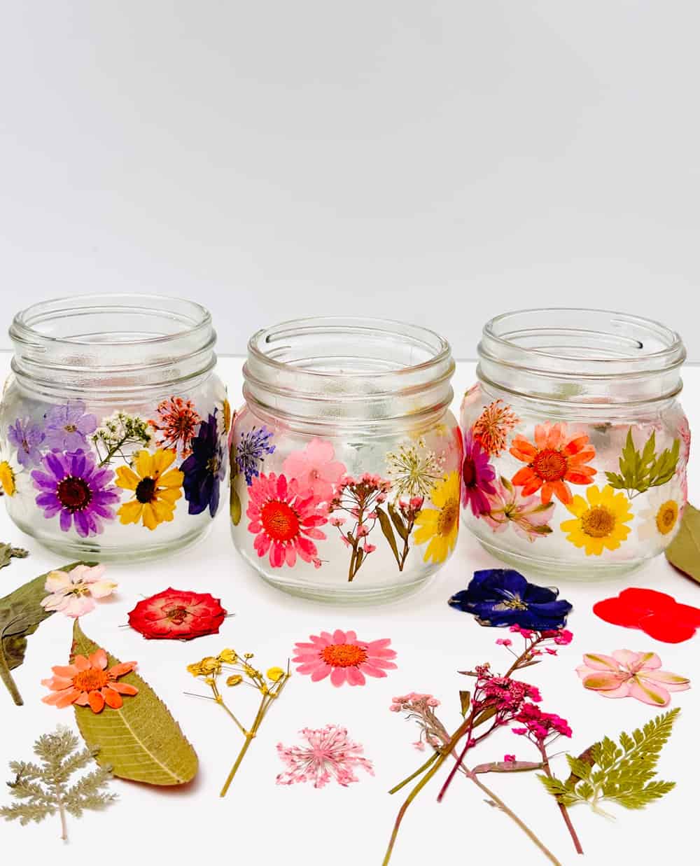 How To Store Dried Flowers  Storage Tips For Pressed Dried Flowers