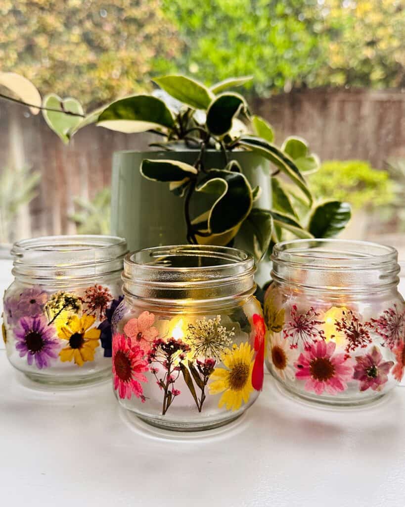 Pressed Flowers In Glass How To at Mayme Chavez blog