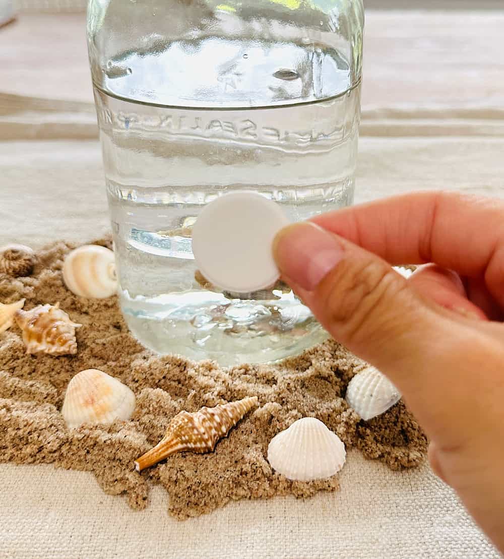 Dancing Seashells Experiment