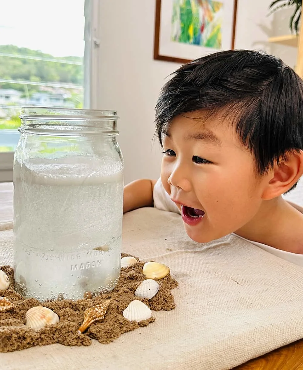 Dancing Seashells Experiment