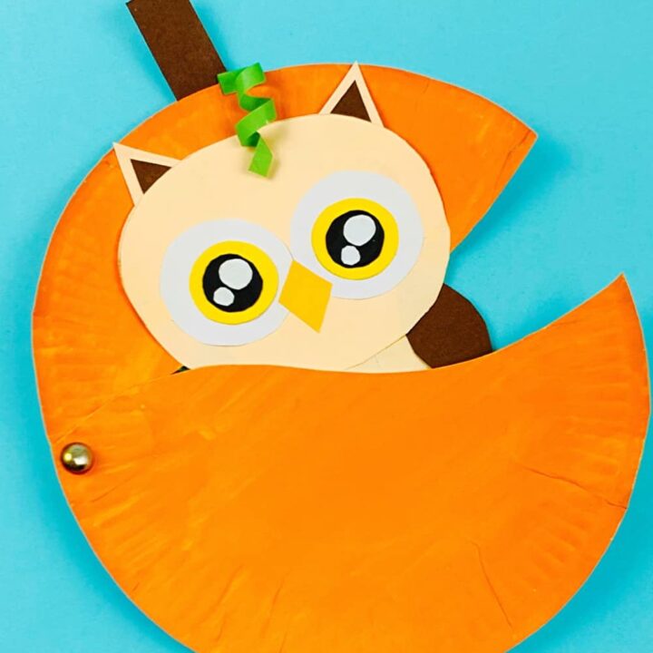 11 CREATIVE PAPER PLATE CRAFTS