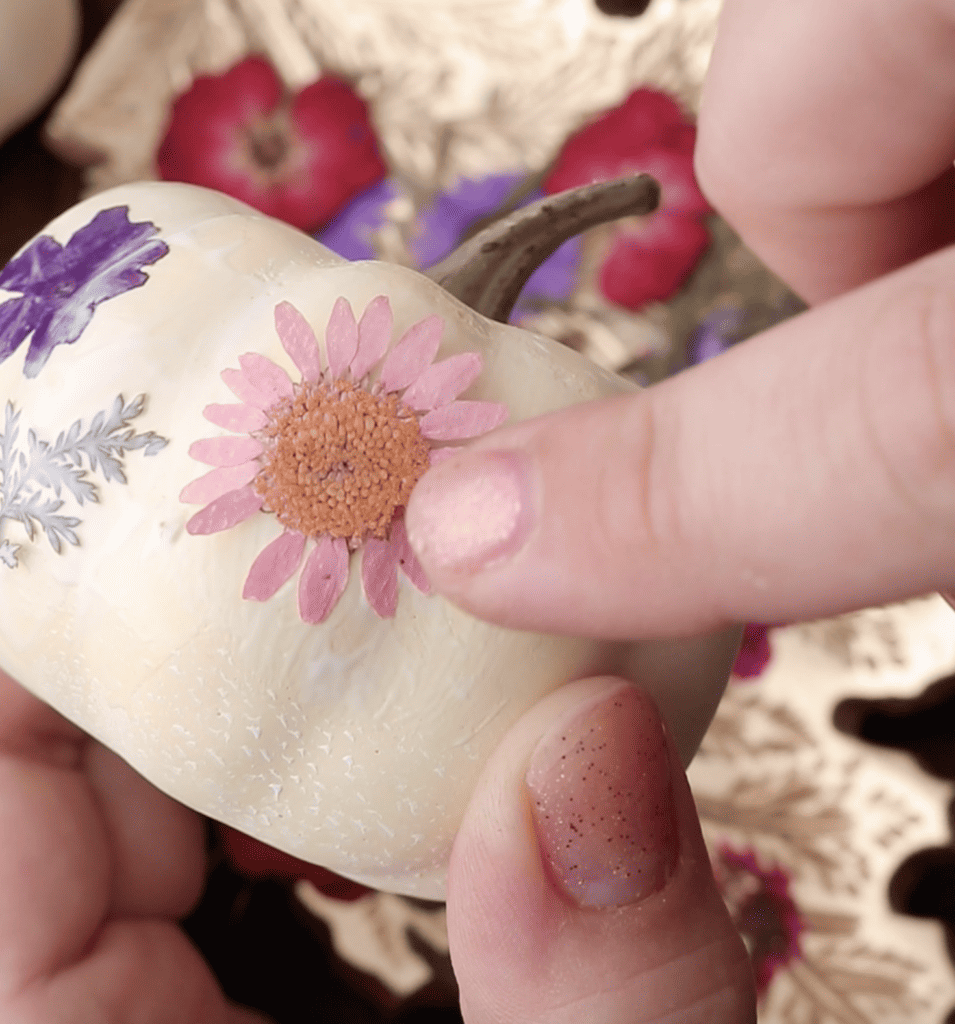 Pressed Flower Pumpkins Make Pretty No Carve Pumpkin Decor