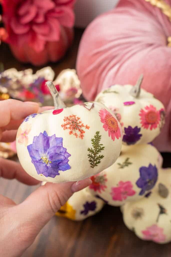 Pressed Flower Pumpkins Make Pretty No Carve Pumpkin Decor