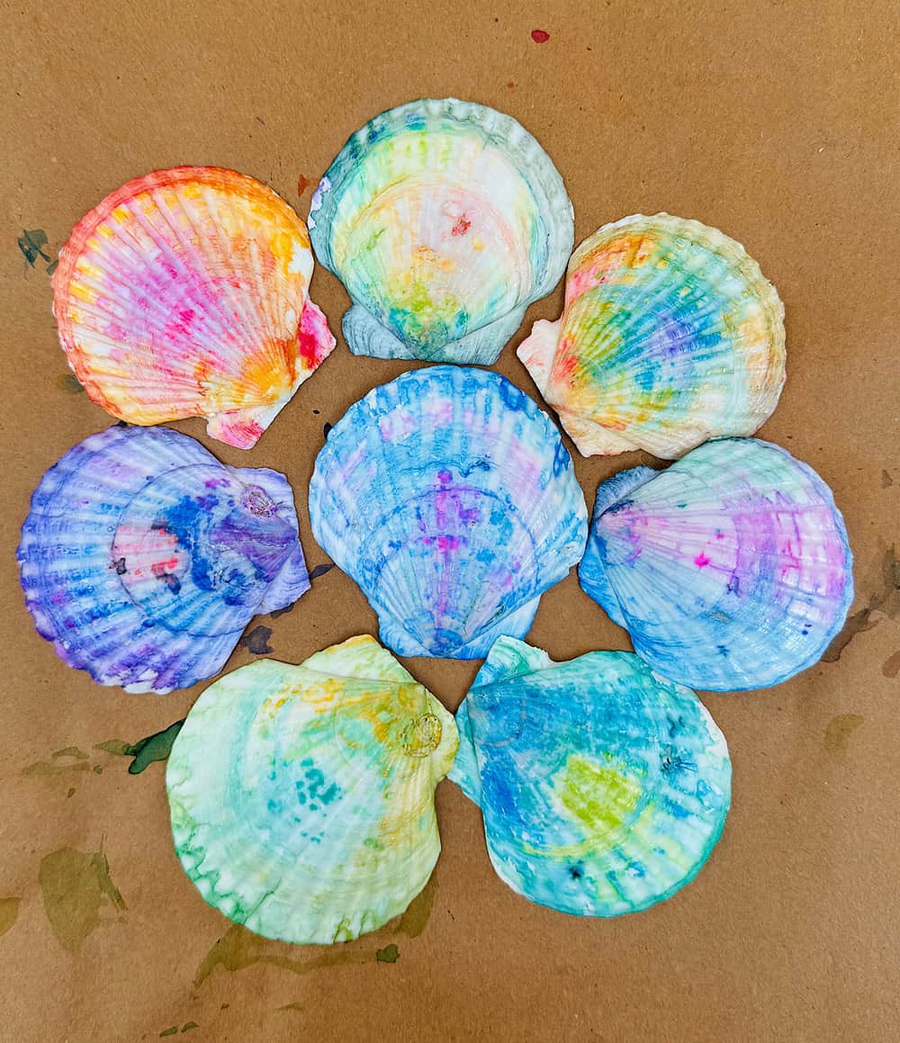 Tie Dye Painted Seashell Craft