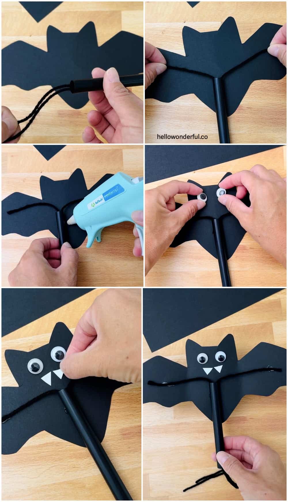 Flying Bat Craft