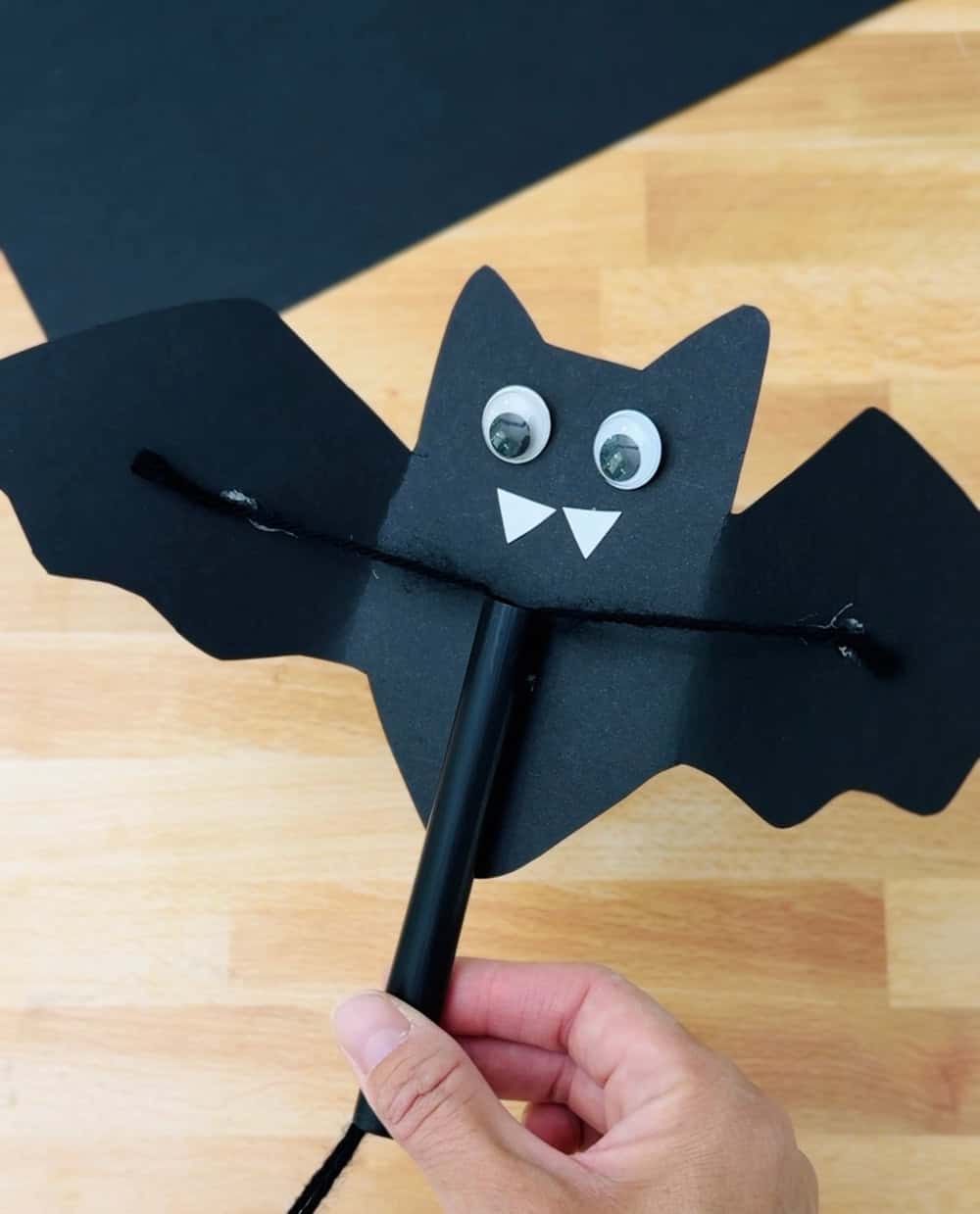 Flying Bat Craft