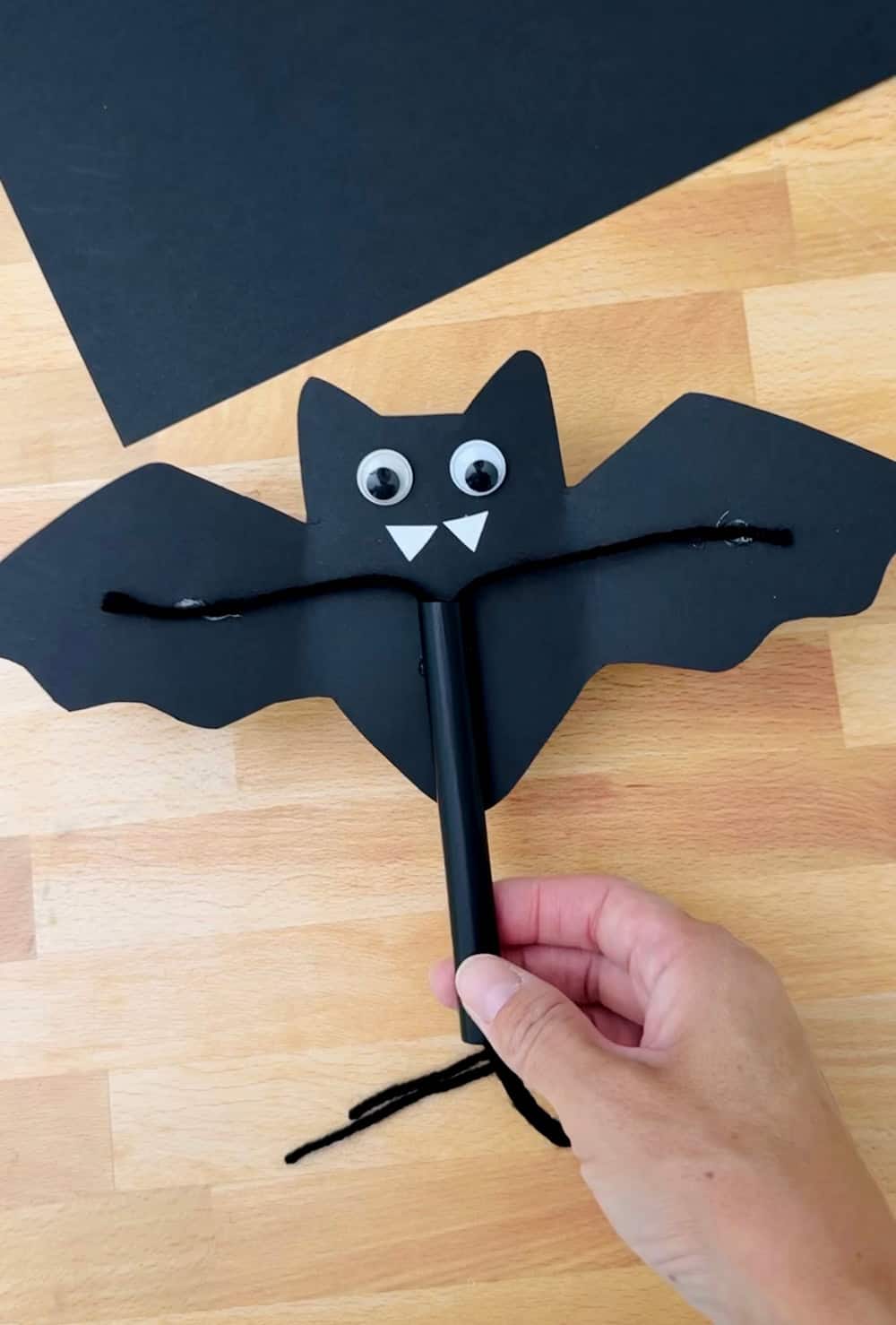 Flying Bat Craft