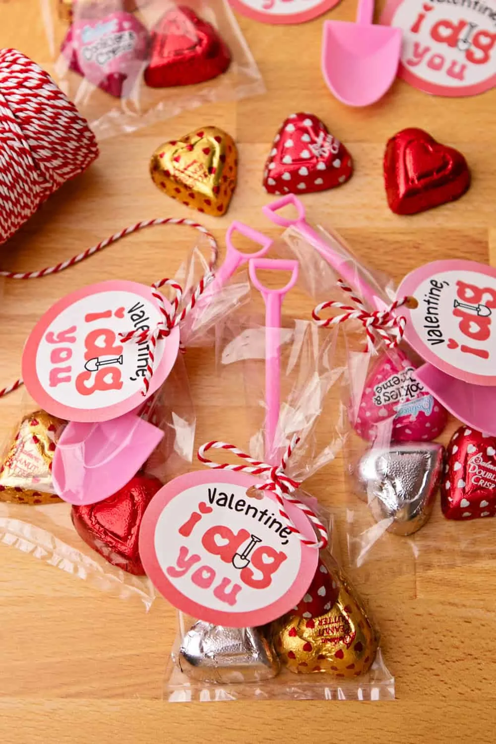 I Dig You Valentine Favors - Printable Template