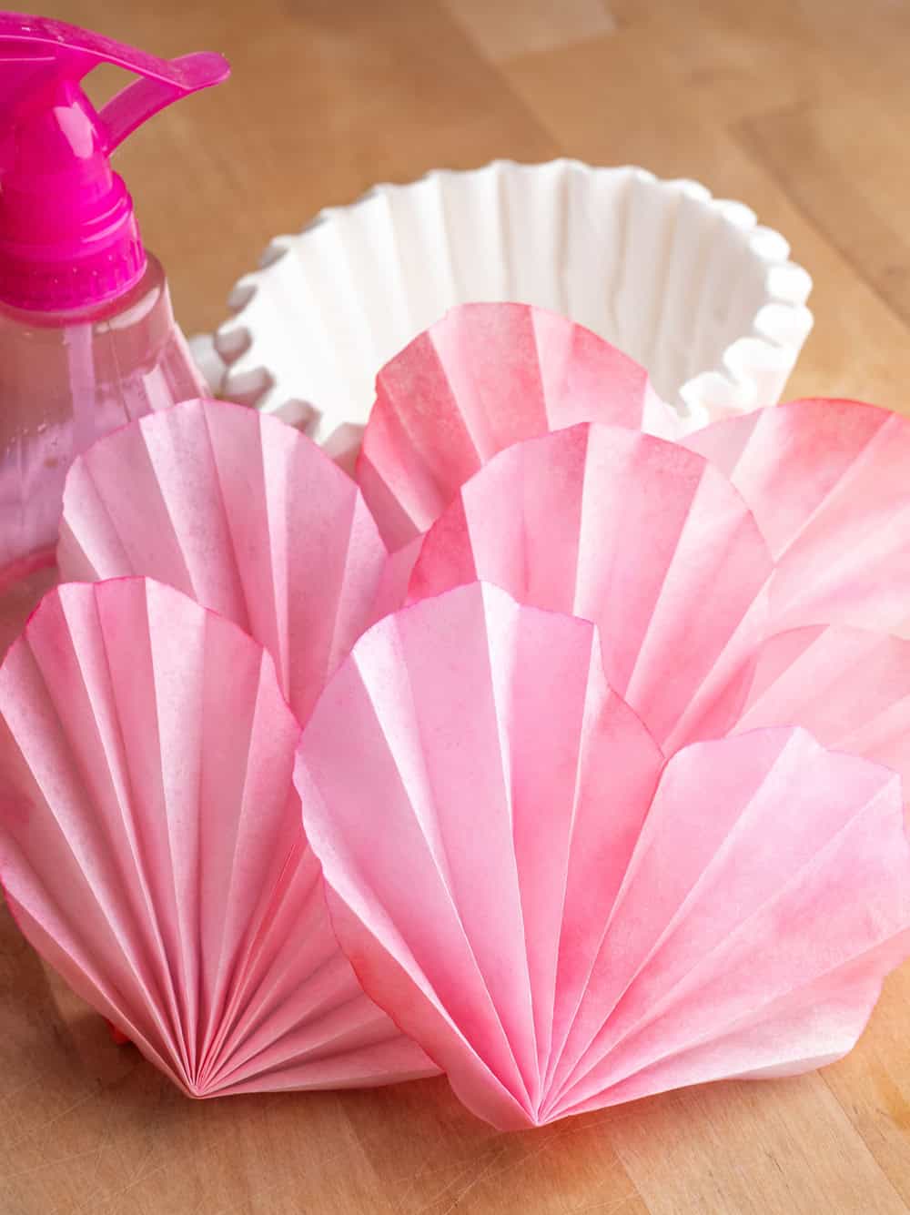 Coffee Filter Accordion Hearts