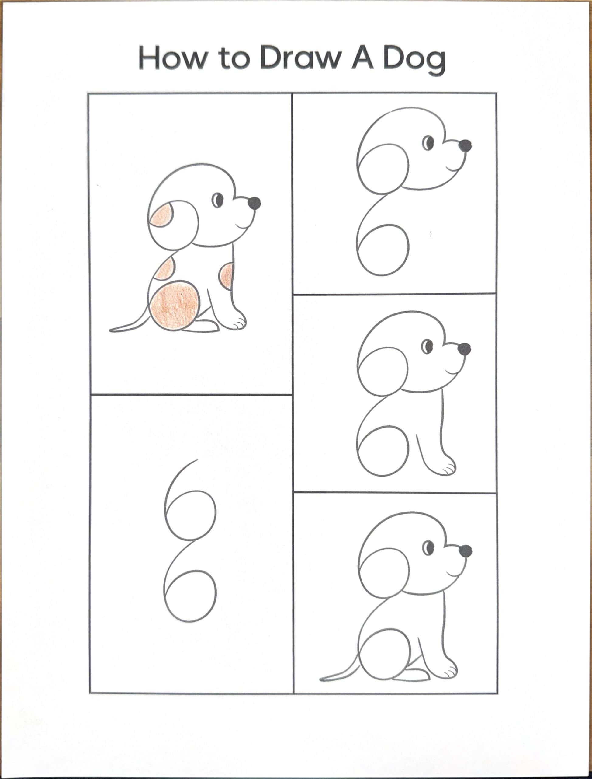 how to draw a dog