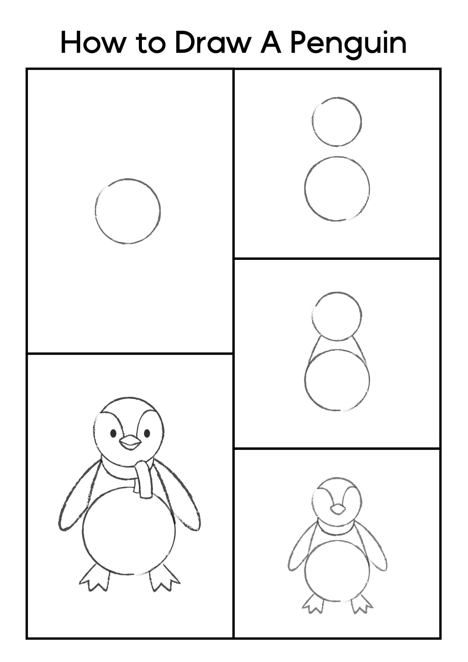 how to draw a penguin